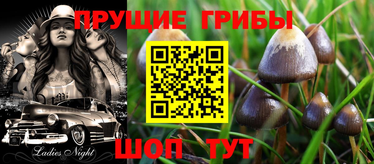 Псилоцибиновые грибы Magic Shrooms  Галлюциногенные грибы прущие грибы  Жуковский  Вход с VPN 